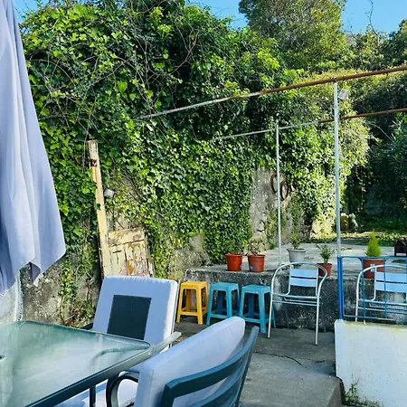 Grand Sasimi House 3*