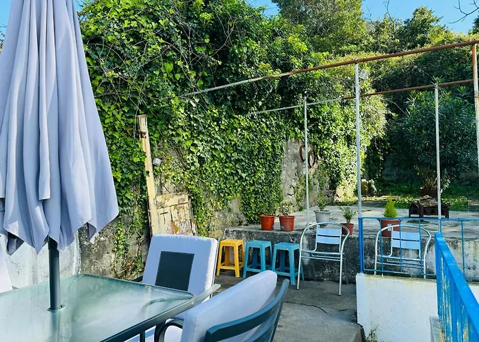 Grand Sasimi House 3*